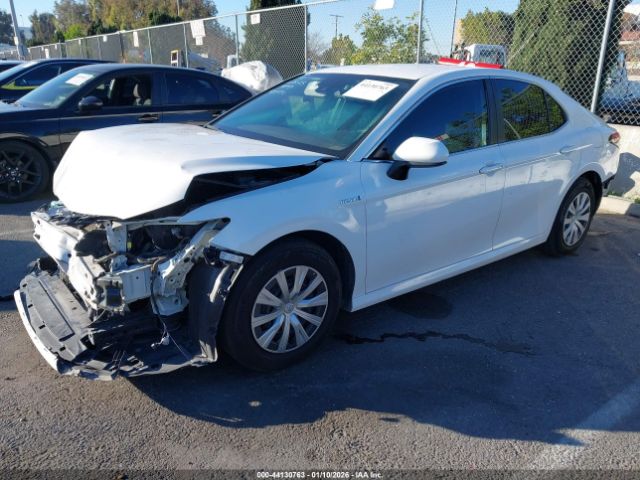 2020 TOYOTA CAMRY 4T1C31AK0LU519083 Photo 1