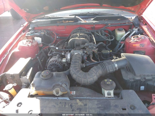 2007 FORD MUSTANG 1ZVFT80N975197546 Photo 9