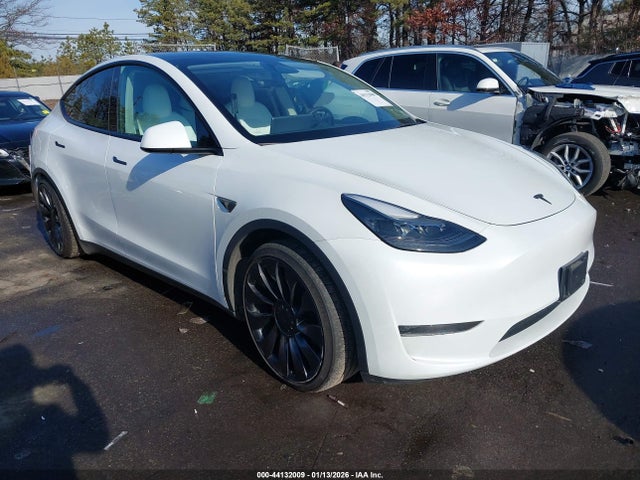 2023 TESLA MODEL Y 7SAYGDEF6PF665311 Photo 0