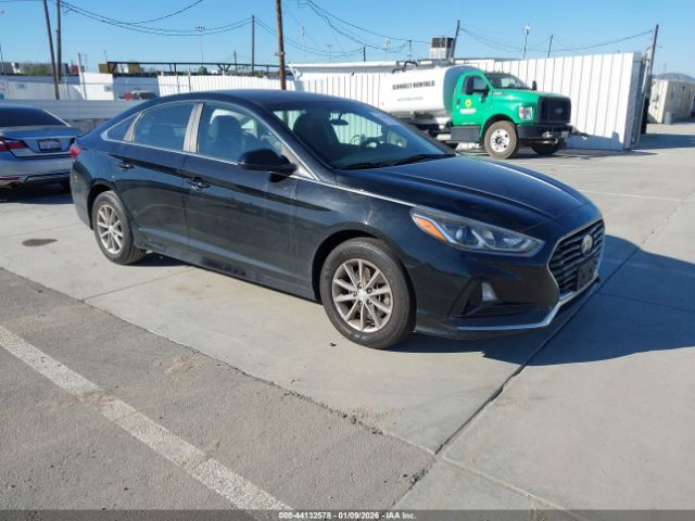 2019 HYUNDAI SONATA 5NPE24AF9KH743238