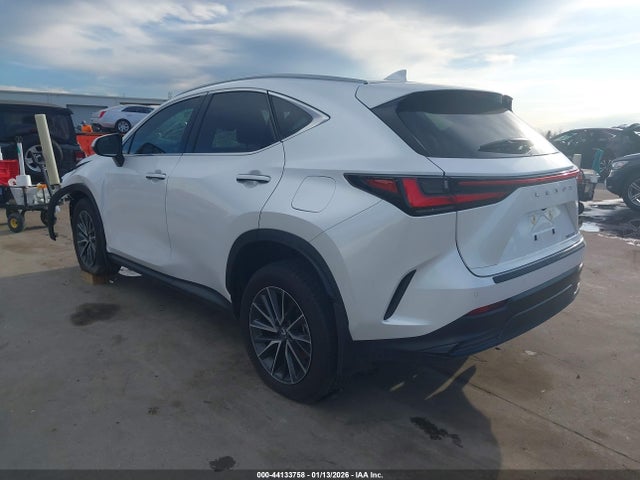 2025 LEXUS NX 250 2T2GDCAZ8SC029848 Photo 2