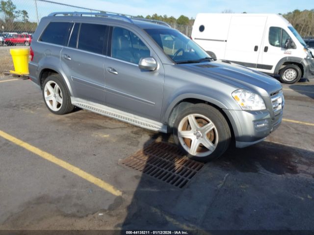 2010 MERCEDES-BENZ GL 550 4JGBF8GE8AA585456