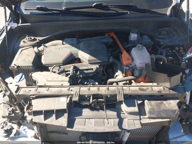 KNDRKDLG2P5147810 KIA Sorento Hybrid Sx Prestige