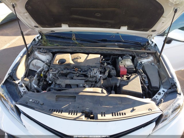 4T1C11AK9LU966405 Toyota CAMRY LE
