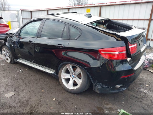 2013 BMW X6 5UXFG2C5XDL784750 Photo 2