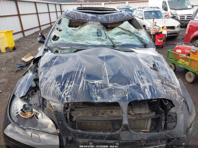 2013 BMW X6 5UXFG2C5XDL784750 Photo 5