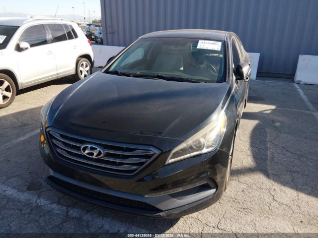2015 HYUNDAI SONATA 5NPE34AFXFH186486 Photo 5