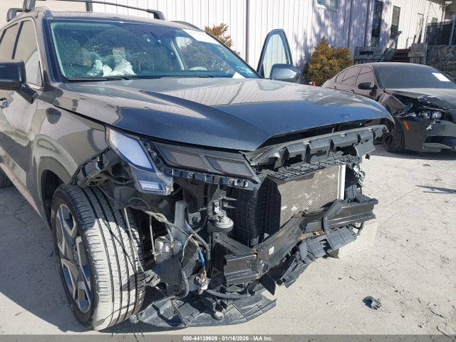 Aukcja sprzedaży 2024 Hyundai Palisade Limited, vin: KM8R5DGE0RU700930, numer aukcji: 44139609