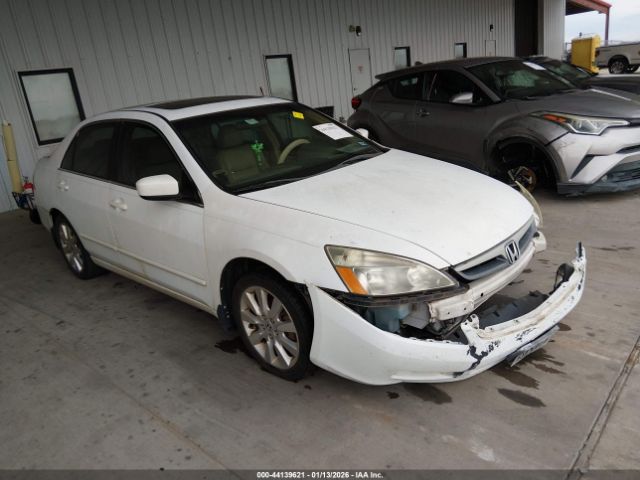 2007 HONDA ACCORD 1HGCM66587A070584