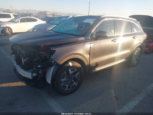 KNDRH4LG0R5260124 KIA Sorento Hybrid Ex