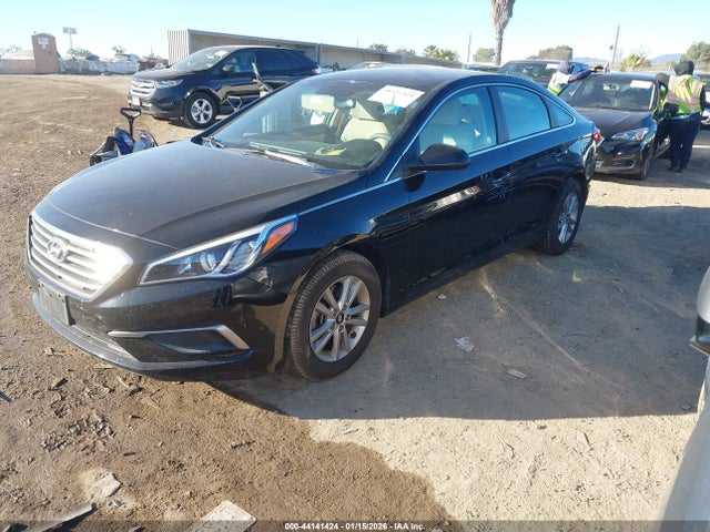 5NPE24AA8HH503479 Hyundai SONATA ECO