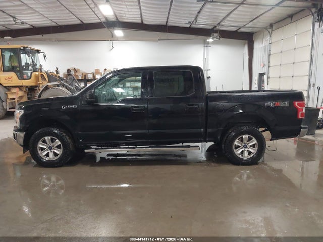 Ford F-150 Xlt 2019 1FTEW1EP9KFB66016 Image 14