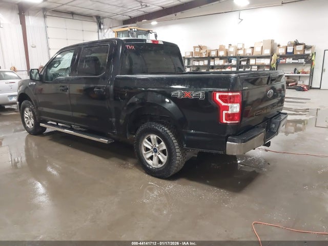 2019 FORD F-150 1FTEW1EP9KFB66016 Photo 2