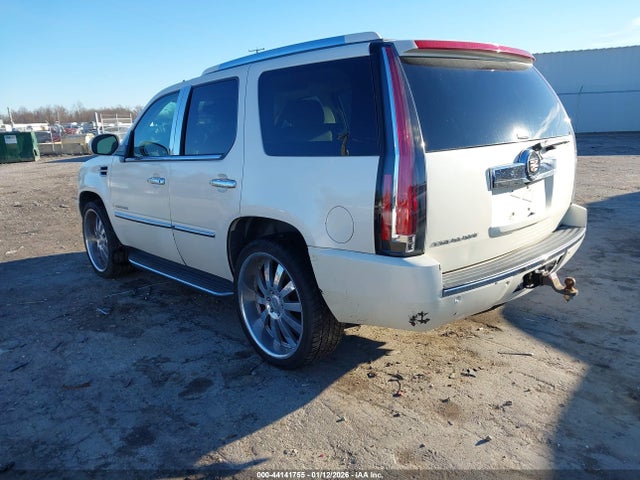 2007 CADILLAC ESCALADE 1GYEC63887R285533 Photo 2