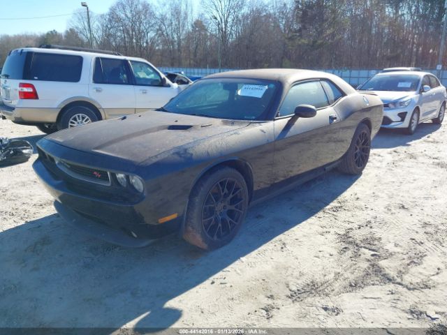 2013 DODGE CHALLENGER 2C3CDYBT2DH591445 Photo 1