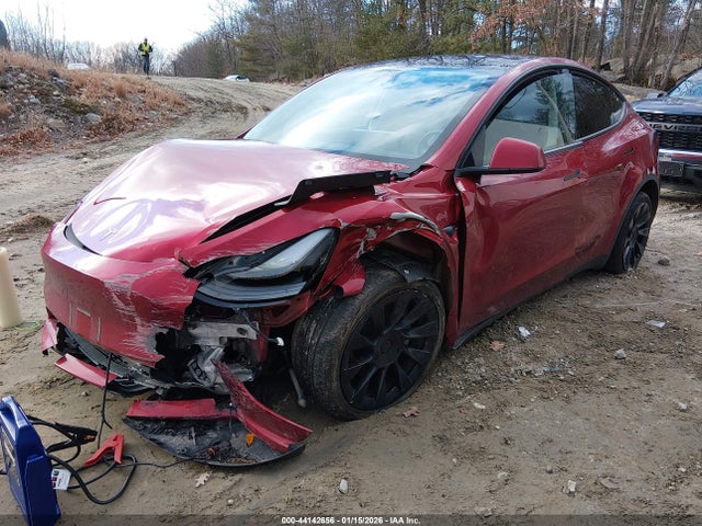 2024 TESLA MODEL Y 7SAYGDEE6RA260038 Photo 1
