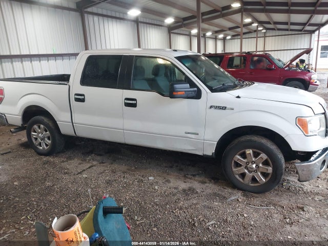 Ford F-150 Xlt 2014 1FTFW1CT8EFB93510 Image 13