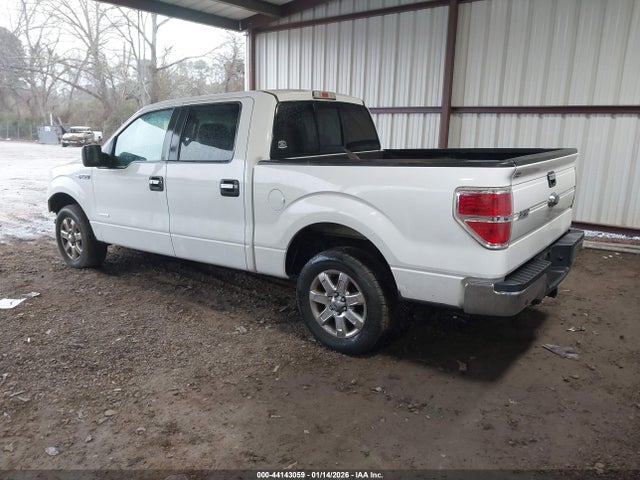 2014 FORD F-150 1FTFW1CT8EFB93510 Photo 2