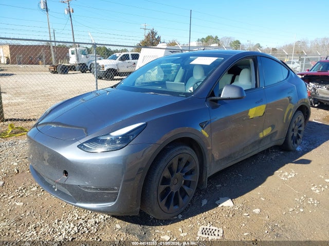 2023 TESLA MODEL Y 7SAYGAEE0PF852906 Photo 1