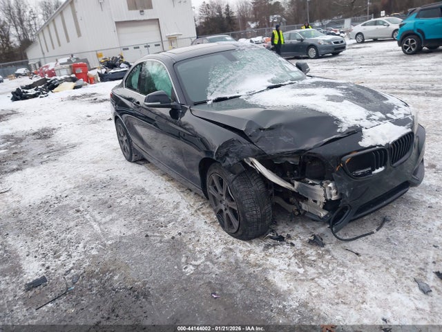 2015 BMW 228I WBA1F7C58FVX95696