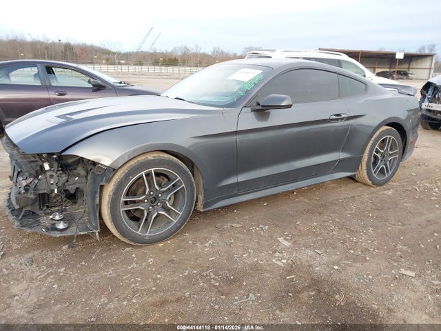 2020 FORD MUSTANG 1FA6P8TH3L5169819 Photo 1