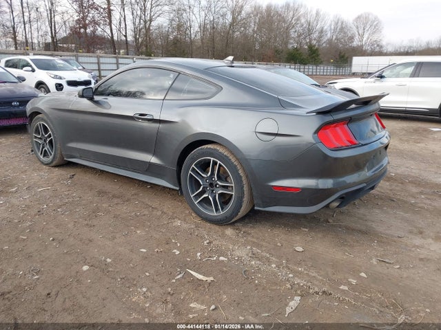 2020 FORD MUSTANG 1FA6P8TH3L5169819 Photo 2