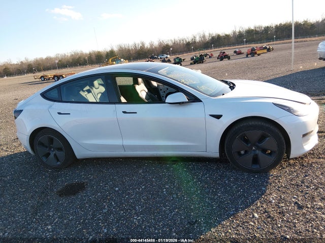 Tesla Model 3 Long Range Dual Motor All-wheel Drive 2021 5YJ3E1EBXMF901981 Image 12