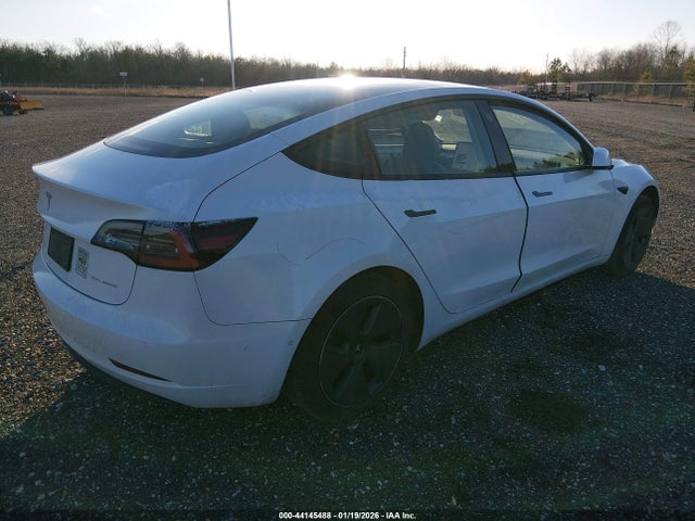 2021 TESLA MODEL 3 5YJ3E1EBXMF901981 Photo 3