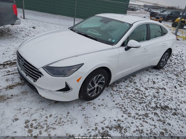 2023 HYUNDAI SONATA HYBRID KMHL24JJ1PA079801 Photo 1