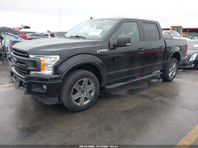 Ford F-150 Xlt 2019 1FTEW1E40KKC30618 Image 2