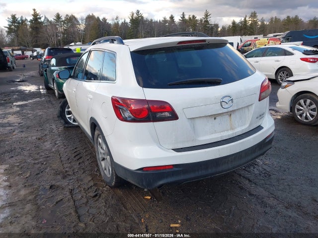 Mazda CX-9 SPORT 2014 JM3TB3BV1E0430720 Image 3
