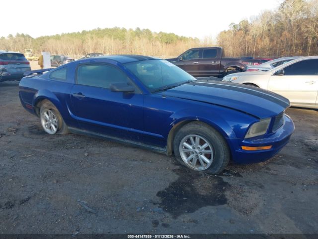 2005 FORD MUSTANG 1ZVFT80N555135123