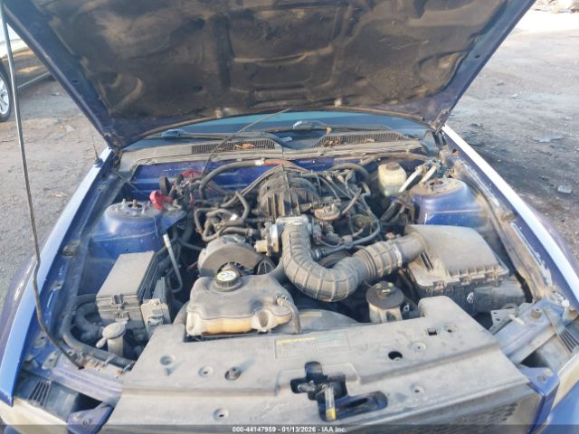 2005 FORD MUSTANG 1ZVFT80N555135123 Photo 9