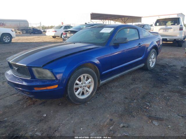 2005 FORD MUSTANG 1ZVFT80N555135123 Photo 1