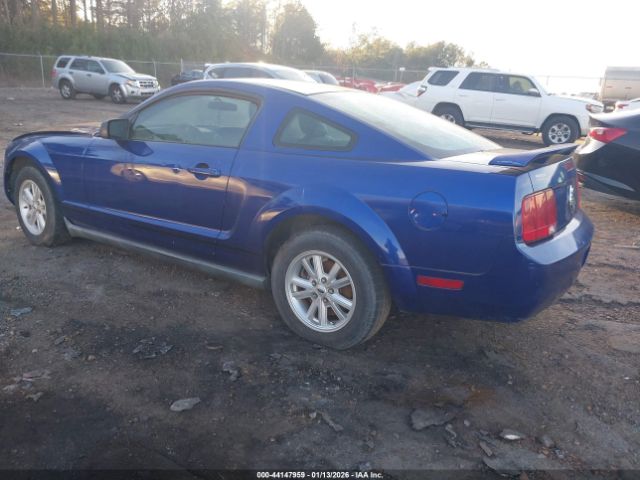 2005 FORD MUSTANG 1ZVFT80N555135123 Photo 2