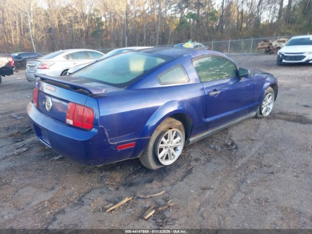 2005 FORD MUSTANG 1ZVFT80N555135123 Photo 3