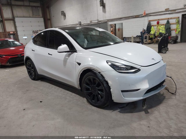 2021 TESLA MODEL Y 5YJYGDEE0MF210387 Photo 0