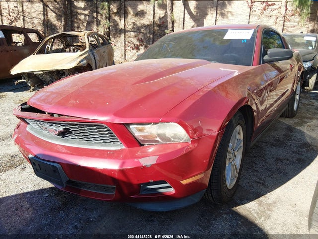 2011 FORD MUSTANG 1ZVBP8AM7B5169892 Photo 1