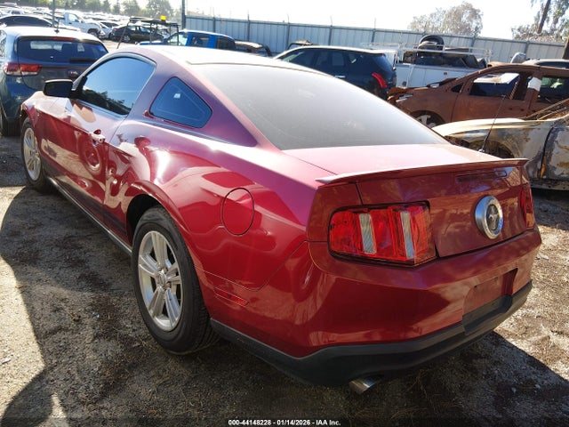 2011 FORD MUSTANG 1ZVBP8AM7B5169892 Photo 2