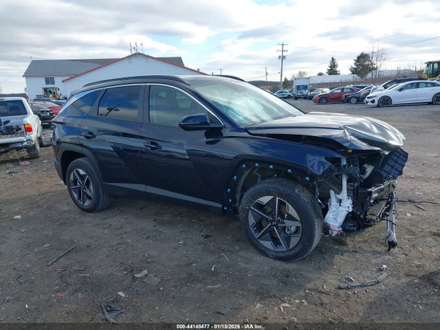 2025 HYUNDAI TUCSON HYBRID KM8JCDD13SU387334