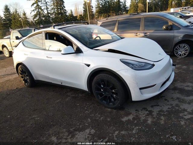 2021 TESLA MODEL Y 5YJYGDEE7MF207129 Photo 0