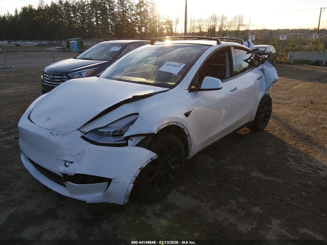 2021 TESLA MODEL Y 5YJYGDEE7MF207129 Photo 1
