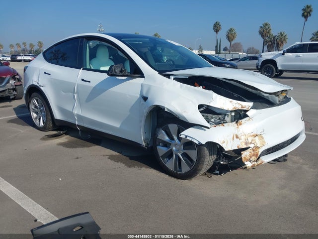 2023 TESLA MODEL Y 7SAYGDEE7PF620675