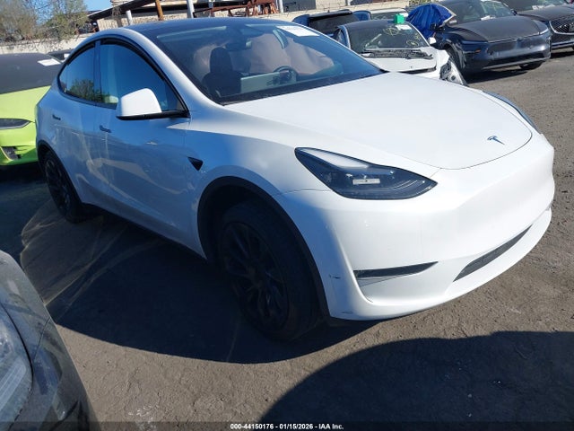 2024 TESLA MODEL Y 7SAYGDEE9RA222562 Photo 0