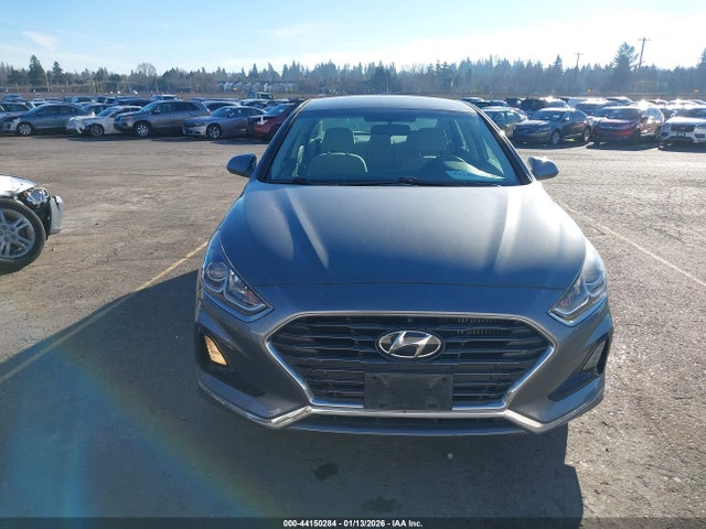 5NPE24AAXKH774874 Hyundai SONATA ECO