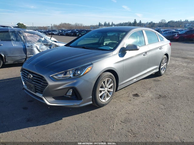 5NPE24AAXKH774874 Hyundai SONATA ECO