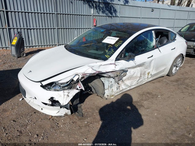 2021 TESLA MODEL 3 5YJ3E1EAXMF987008 Photo 1