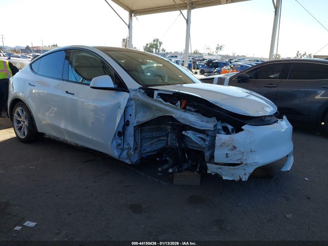 2023 TESLA MODEL Y 7SAYGDEE4PA123726 Photo 0