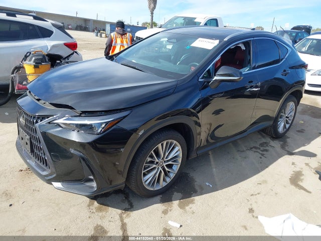 44152040 :رقم المزاد ، 2T2GKCEZ0SC045400 vin ، 2025 Lexus Nx 350h Premium مزاد بيع