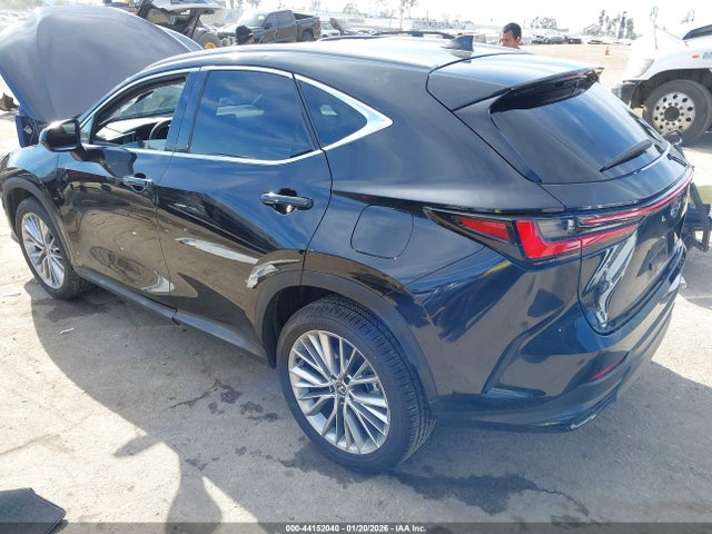 44152040 :رقم المزاد ، 2T2GKCEZ0SC045400 vin ، 2025 Lexus Nx 350h Premium مزاد بيع